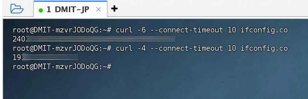 确认 VPS 是否具备可用的 IPv6 出口