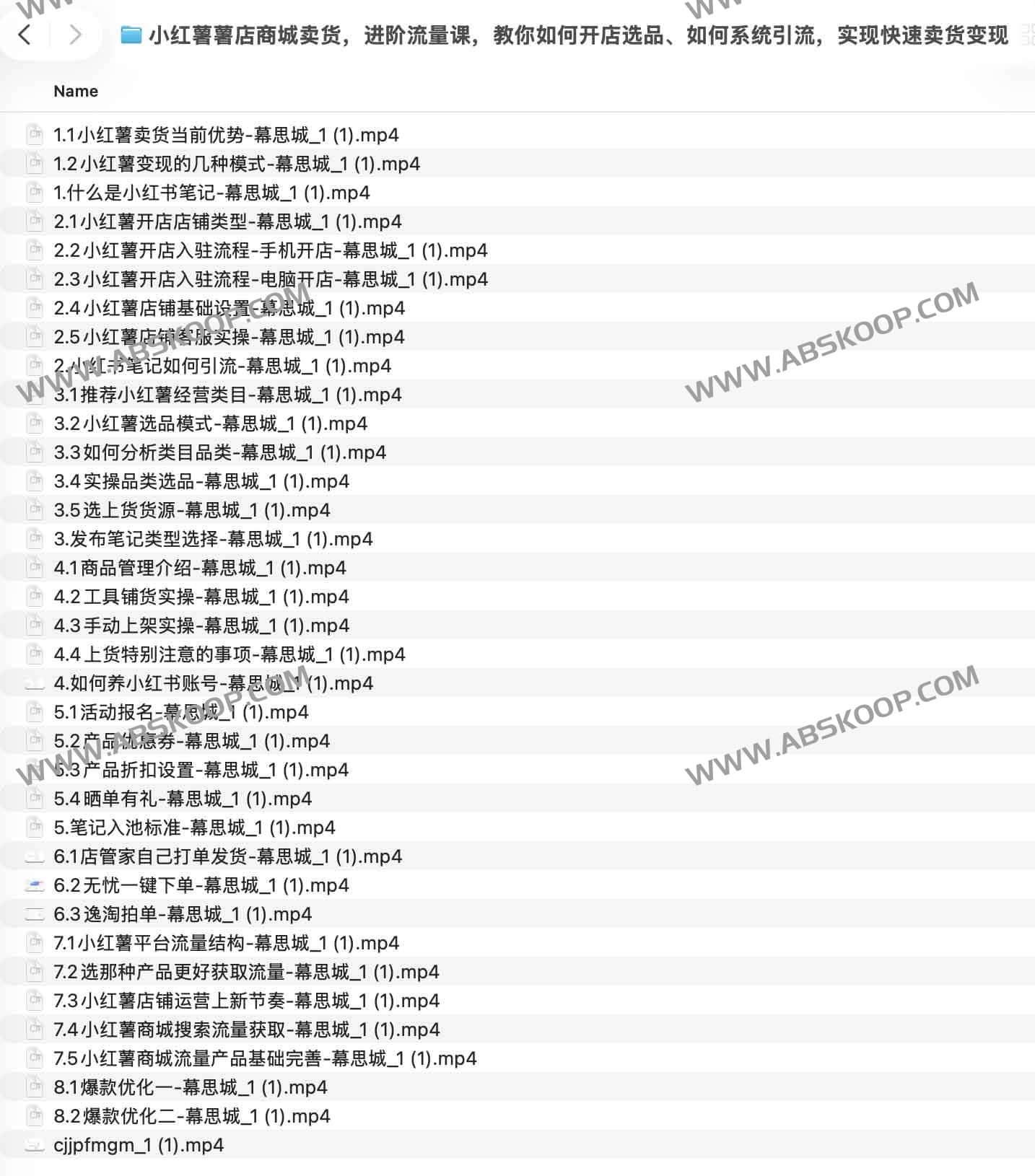 小红薯薯店商城卖货，进阶流量课，教你如何开店选品、如何系统引流，实现快速卖货变现