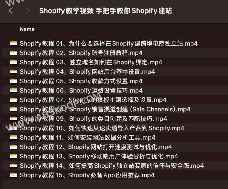 Shopify教学视频 手把手教你Shopify建站