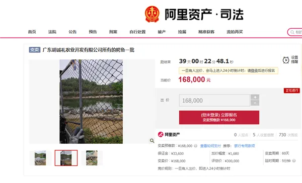 活鳄鱼上架阿里拍卖，公告提示需自行抓捕插图