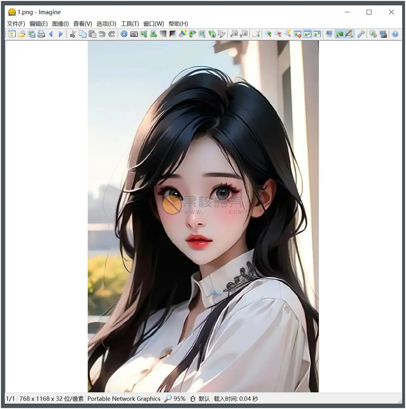 Imagine(看图工具) v2.5.7 便携版插图