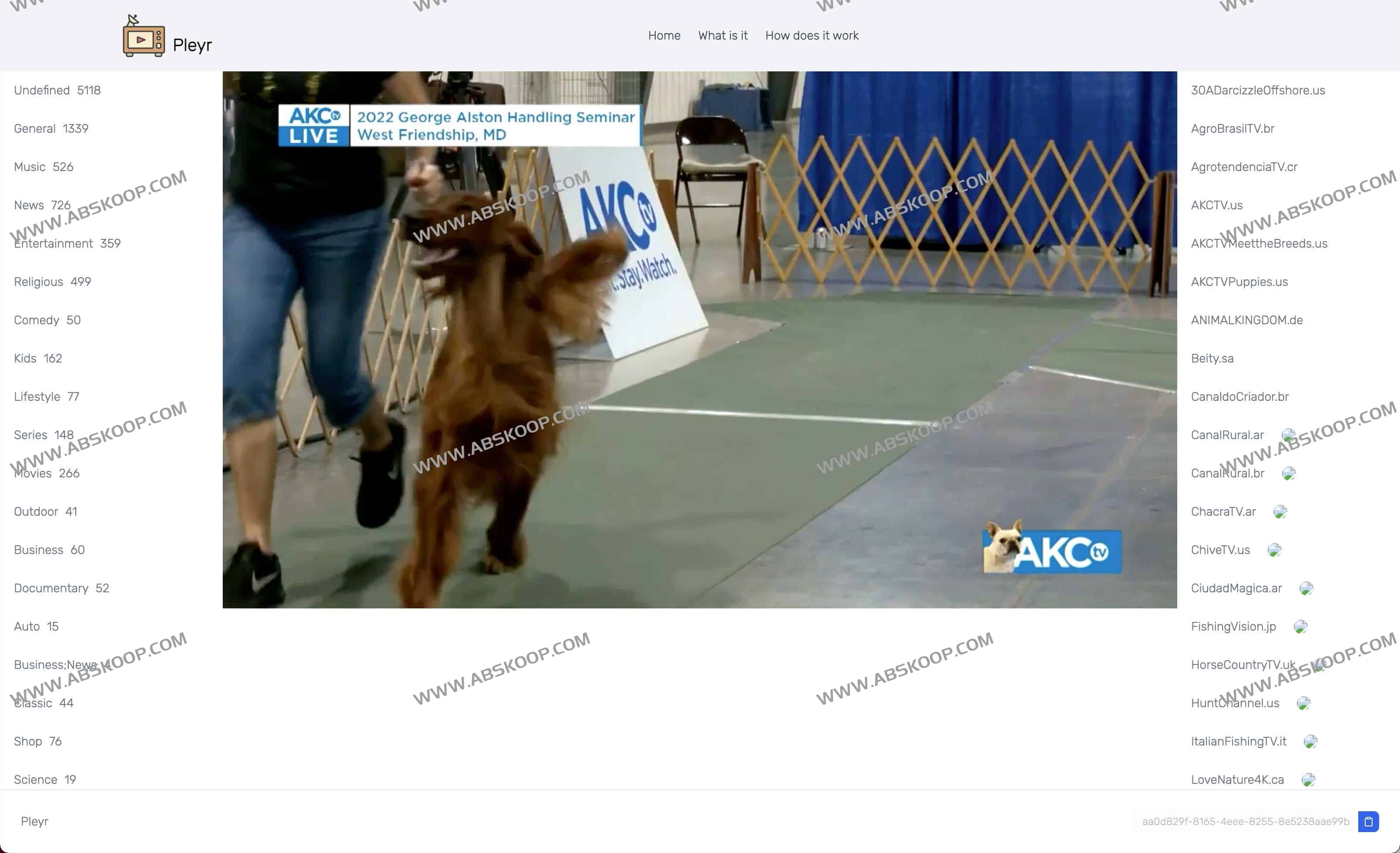 Pleyr-在线IPTV播放器 IPTV web browser player