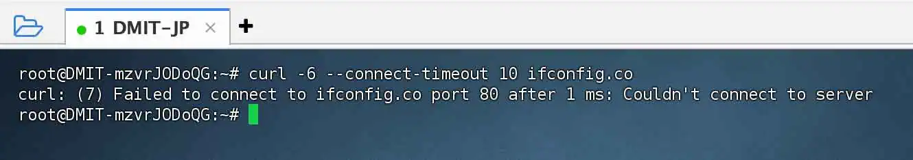 测试 VPS 能否通过 IPv6 连接公网