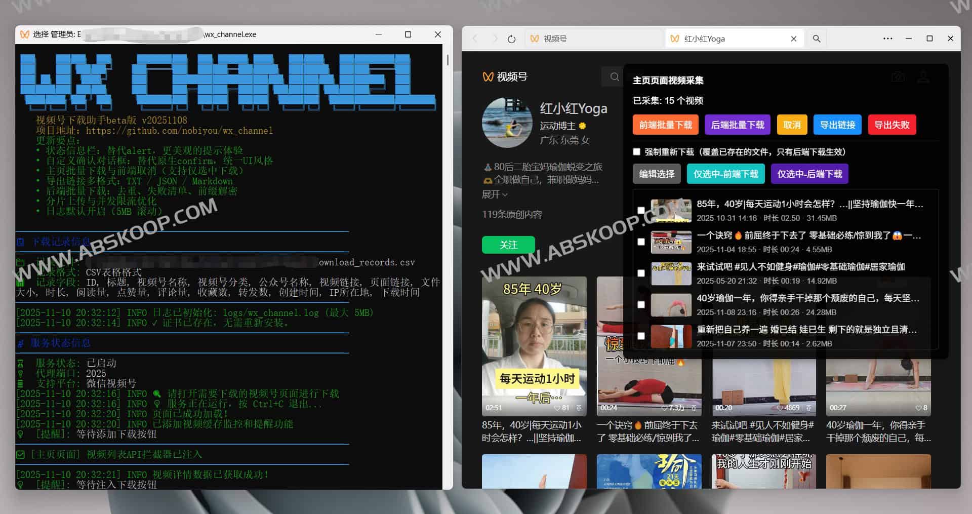 微信视频号下载助手（WX Channel Downloader）：简洁易用的微信视频号本地下载与管理工具