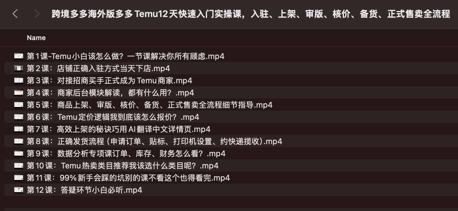 跨境多多海外版多多Temu12天快速入门实操课，入驻、上架、审版、核价、备货、正式售卖全流程