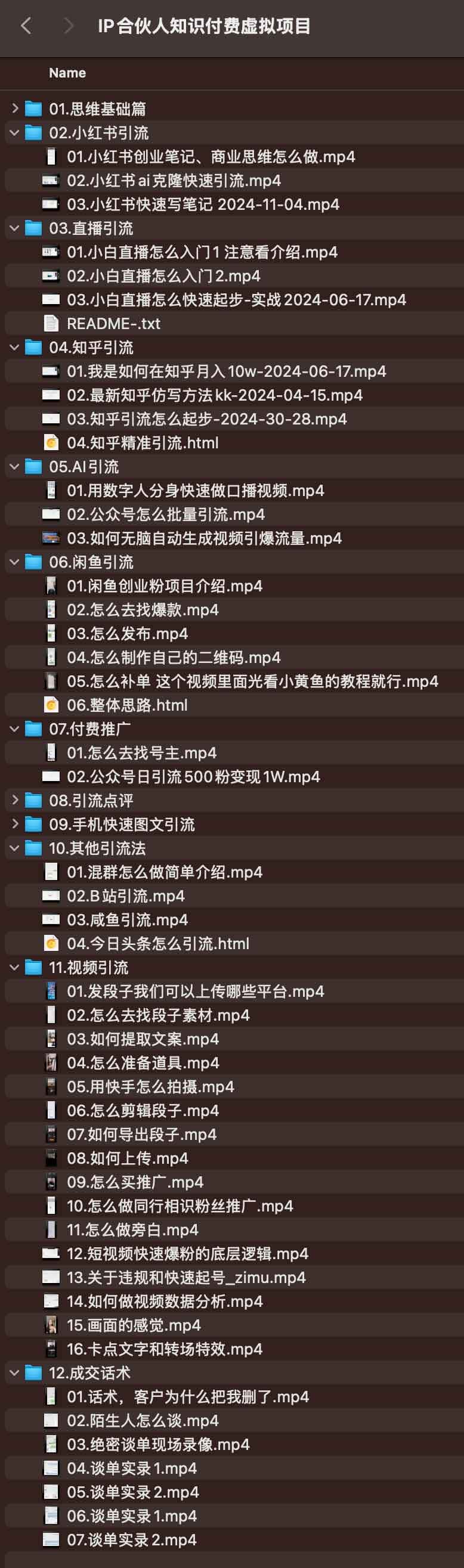 IP合伙人知识付费虚拟项目