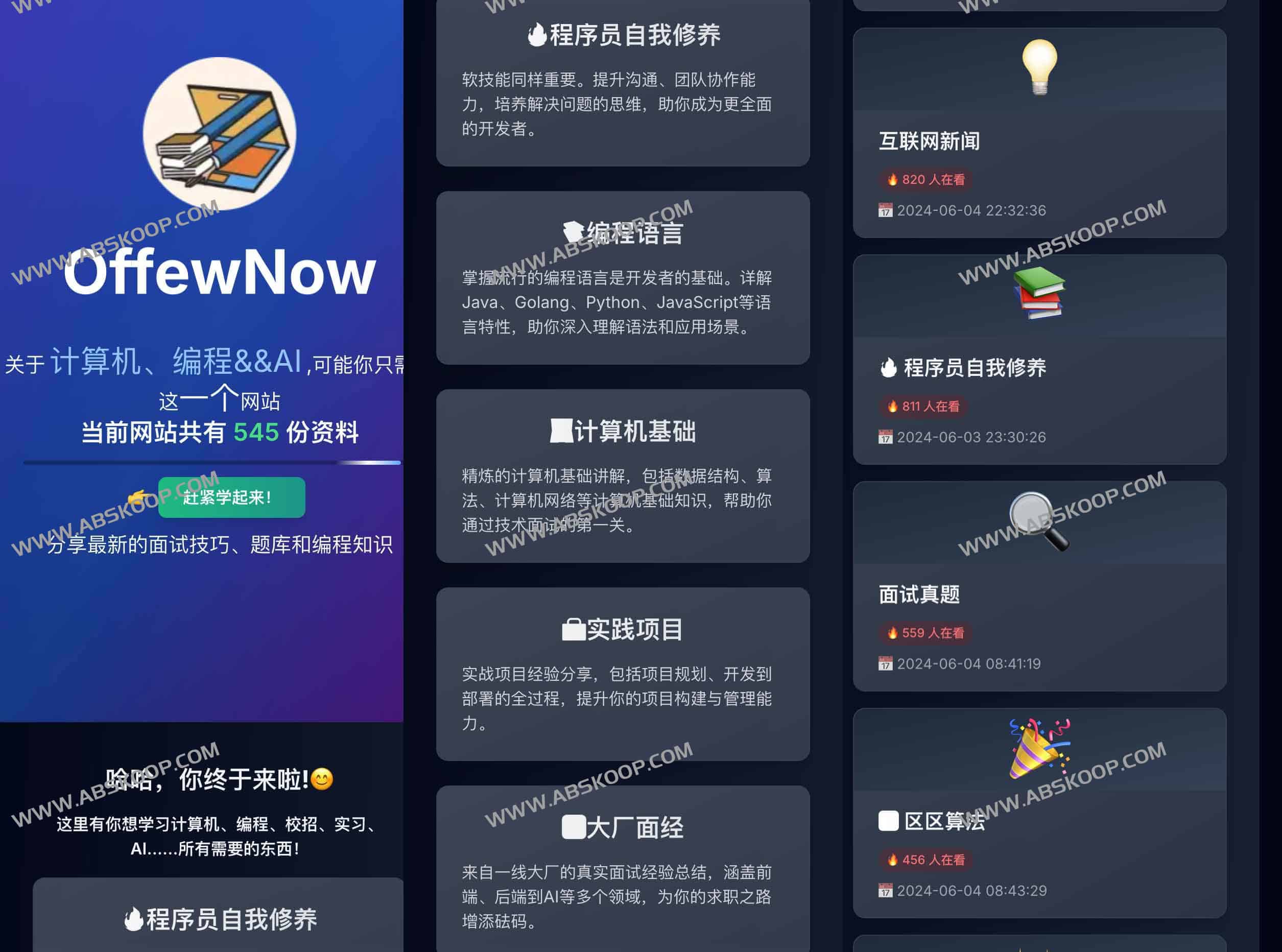 OfferNow求职与编程学习平台：AI时代程序员进阶指南