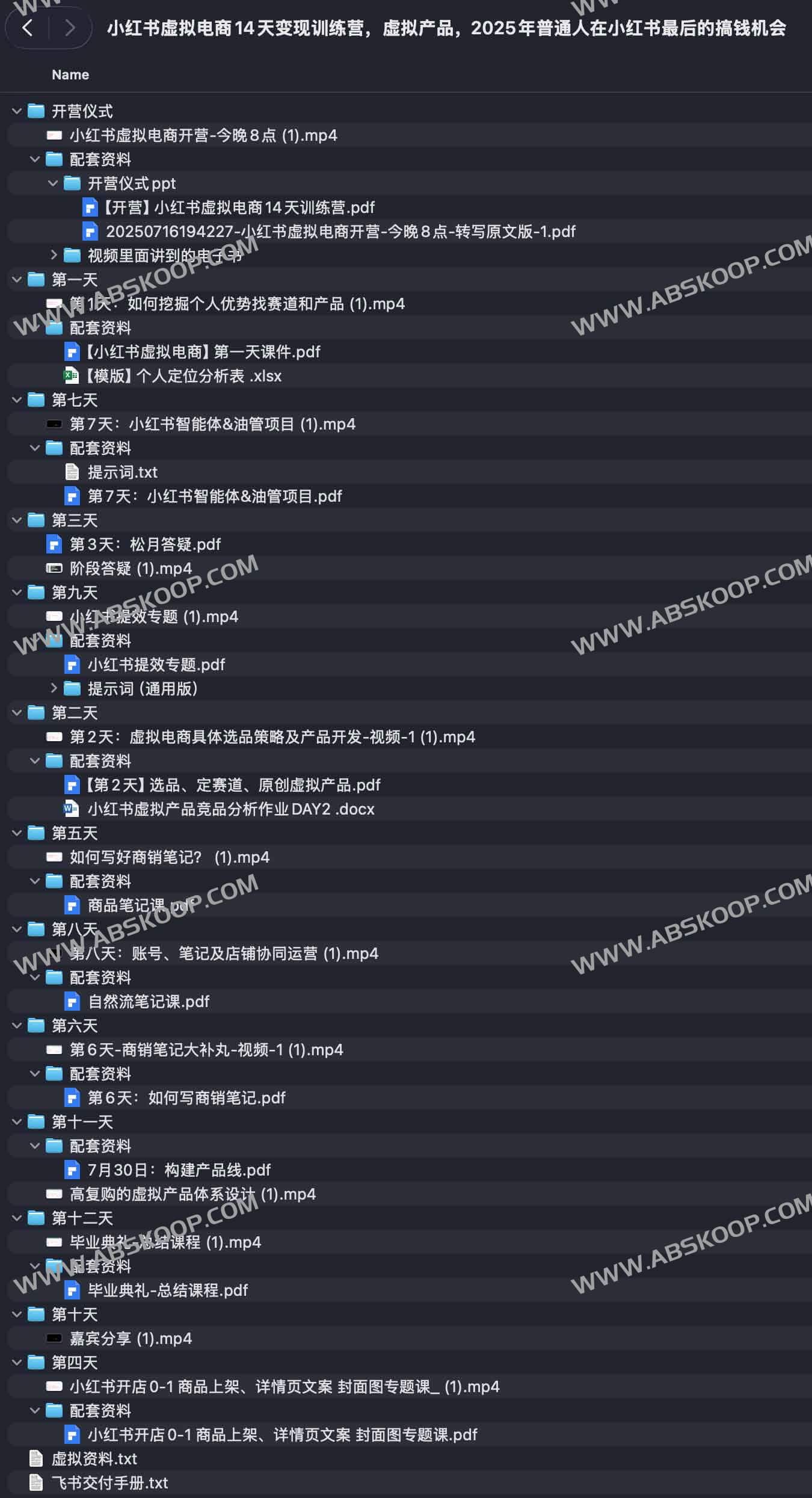 小红书虚拟电商14天变现训练营，虚拟产品，2025年普通人在小红书最后的搞钱机会