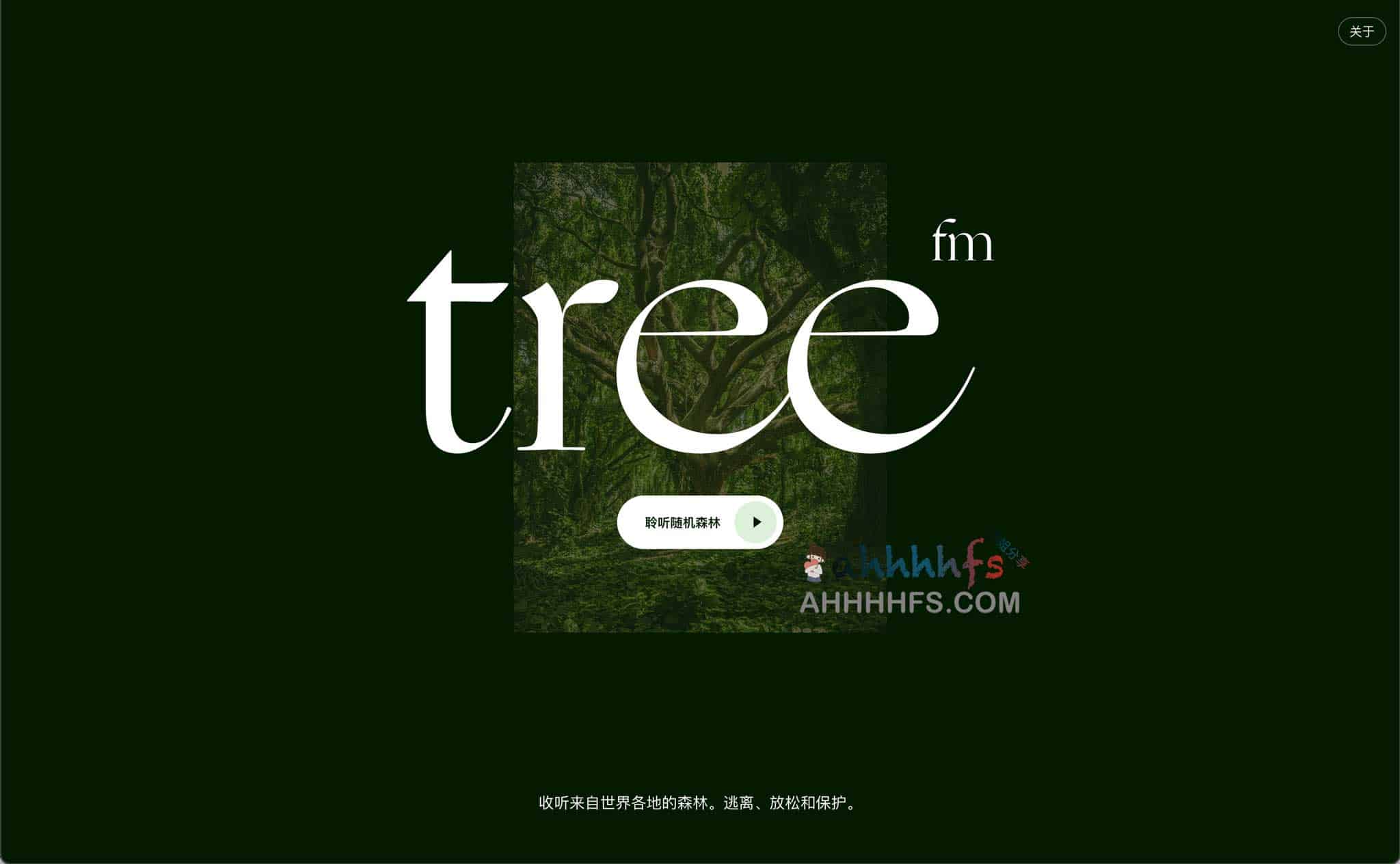 TreeFM-收听来自世界各地的森林声音 适合冥想放松白噪音 1 TreeFM-收听来自世界各地的森林声音 适合冥想放松