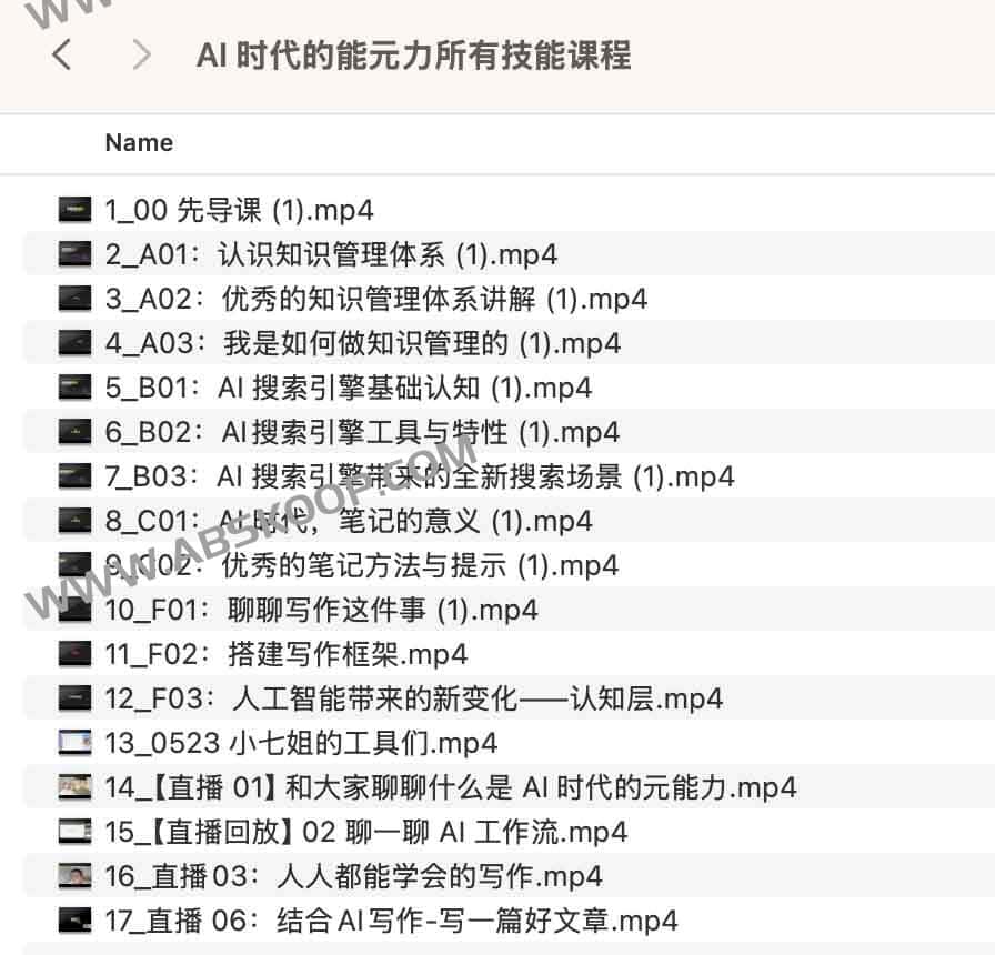 AI 时代的能元力所有技能课程
