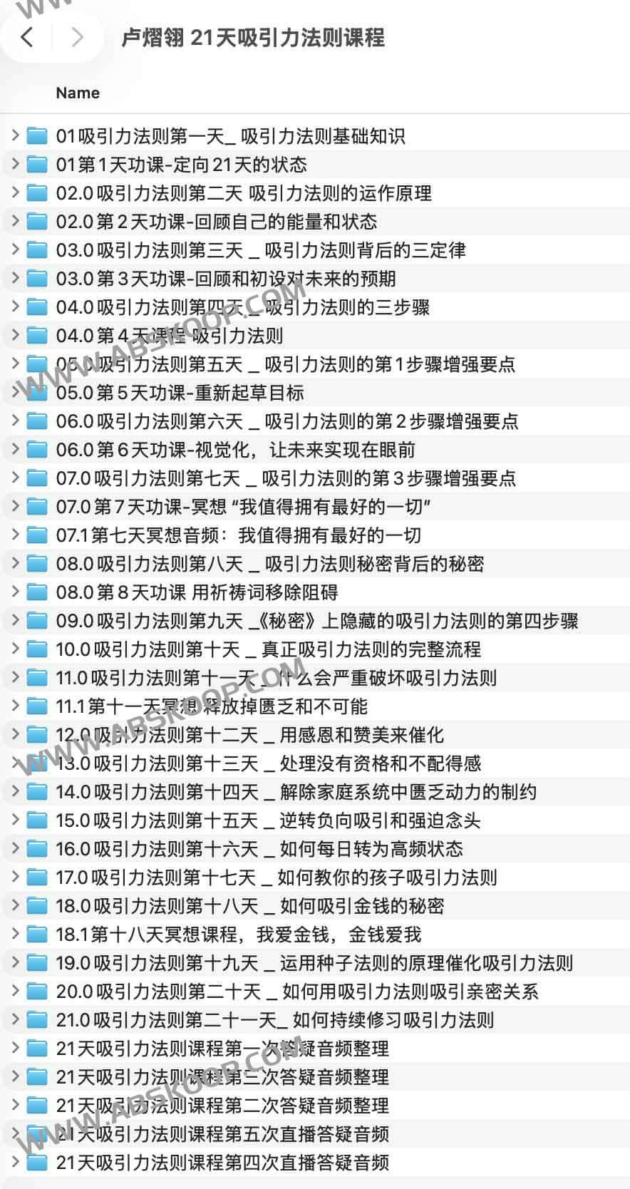 卢熠翎 21天吸引力法则课程