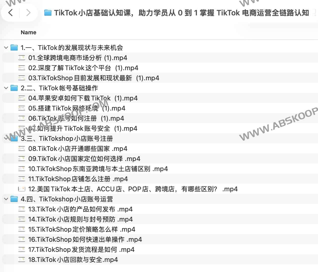 TikTok小店基础认知课，助力学员从 0 到 1 掌握 TikTok 电商运营全链路认知