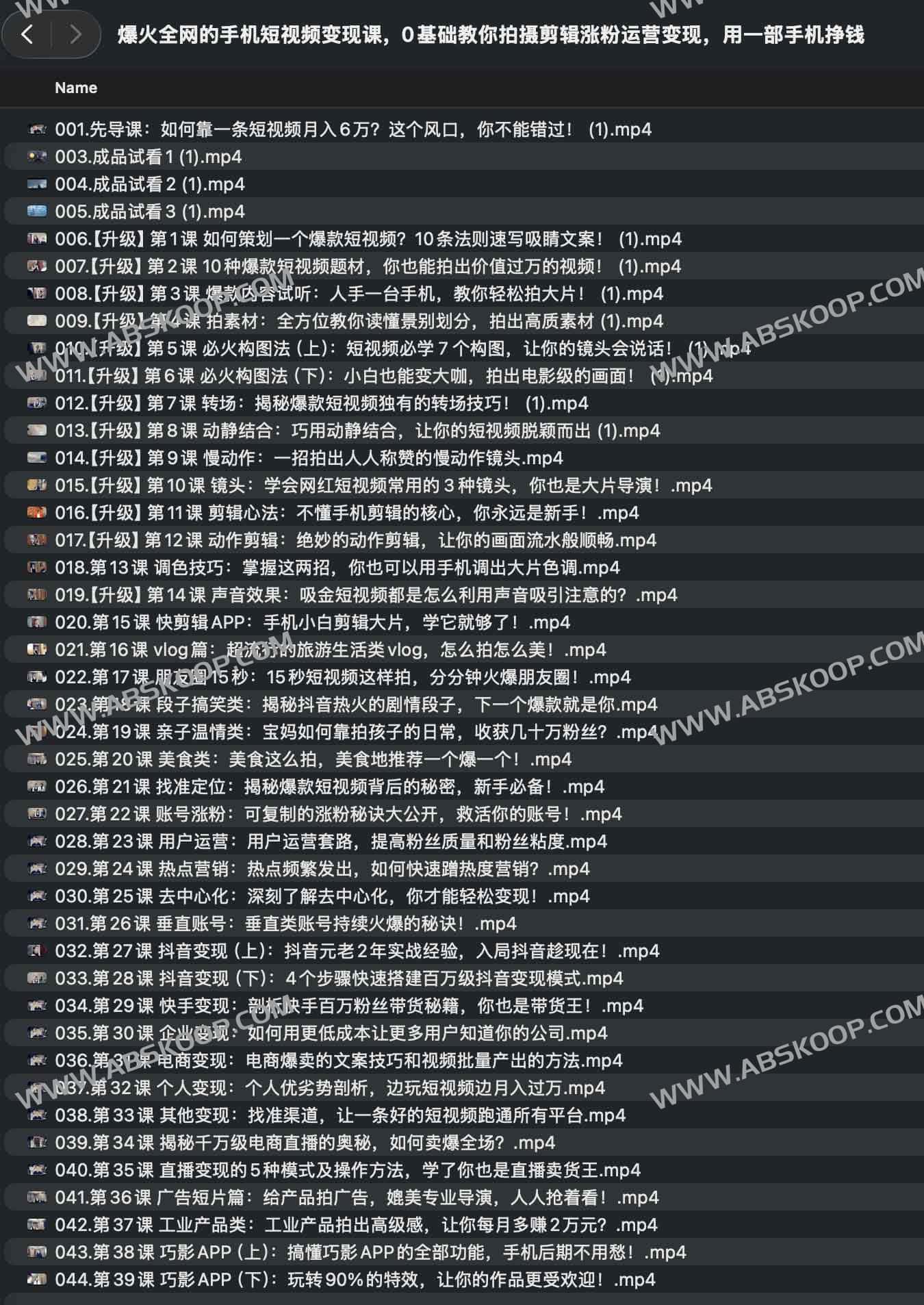爆火全网的手机短视频变现课，0基础教你拍摄剪辑涨粉运营变现，用一部手机挣钱