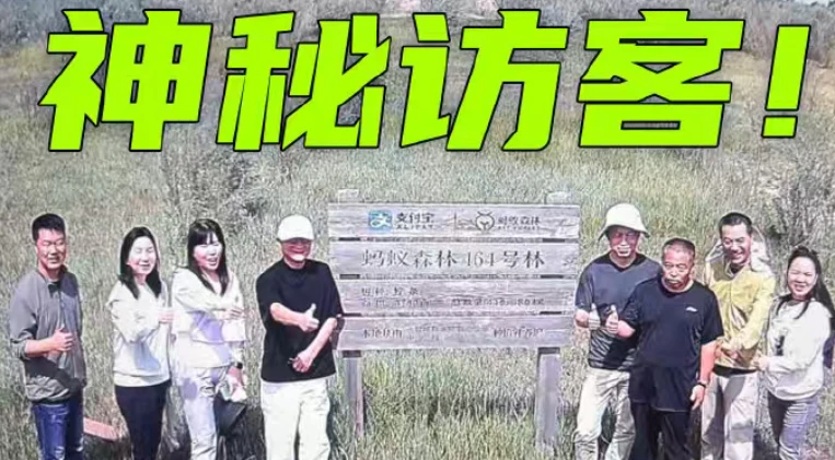 马云时隔六年再次探访蚂蚁森林,和树比高插图 马云时隔六年再次探访蚂蚁森林,和树比高插图