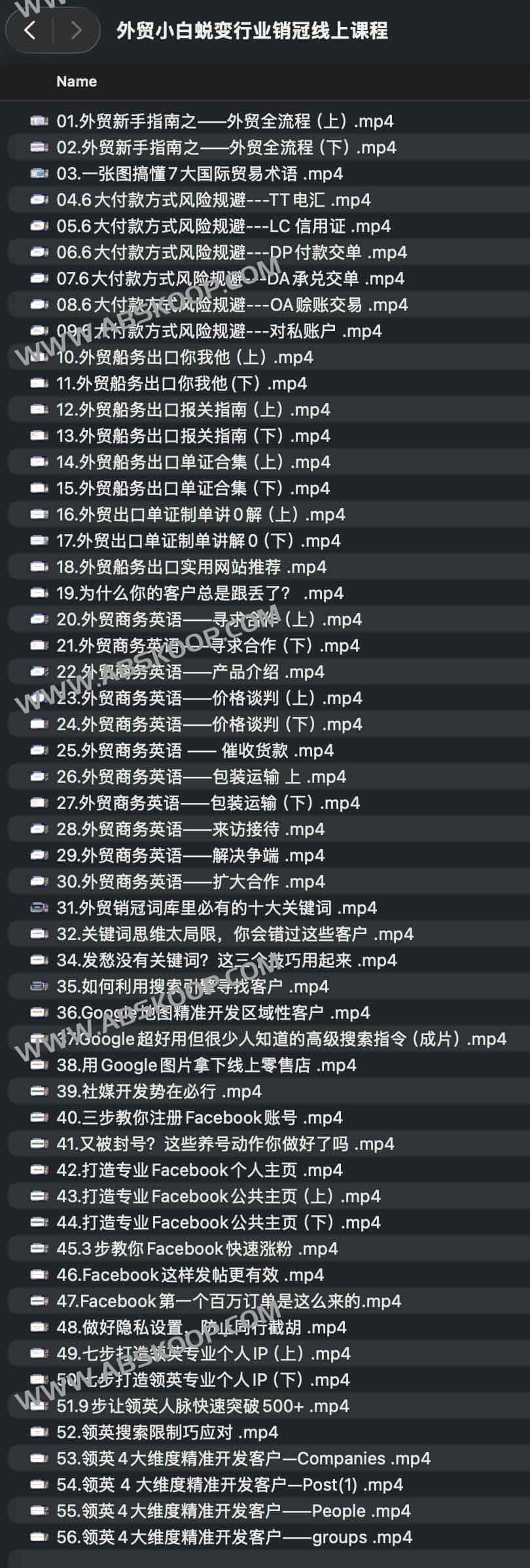 外贸小白蜕变行业销冠线上课程