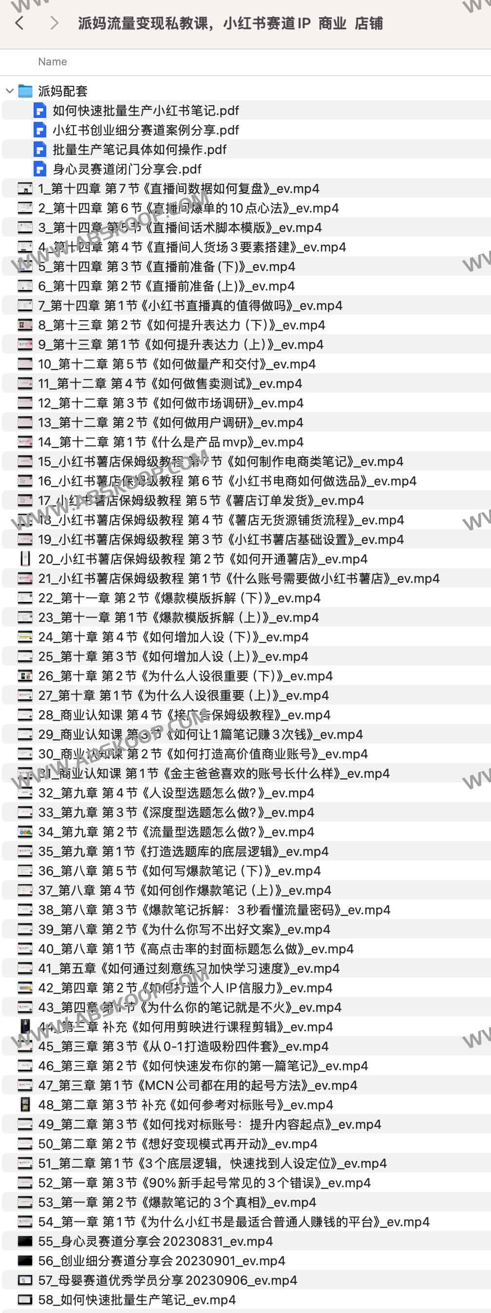 派妈流量变现私教课，小红书赛道IP 商业 店铺