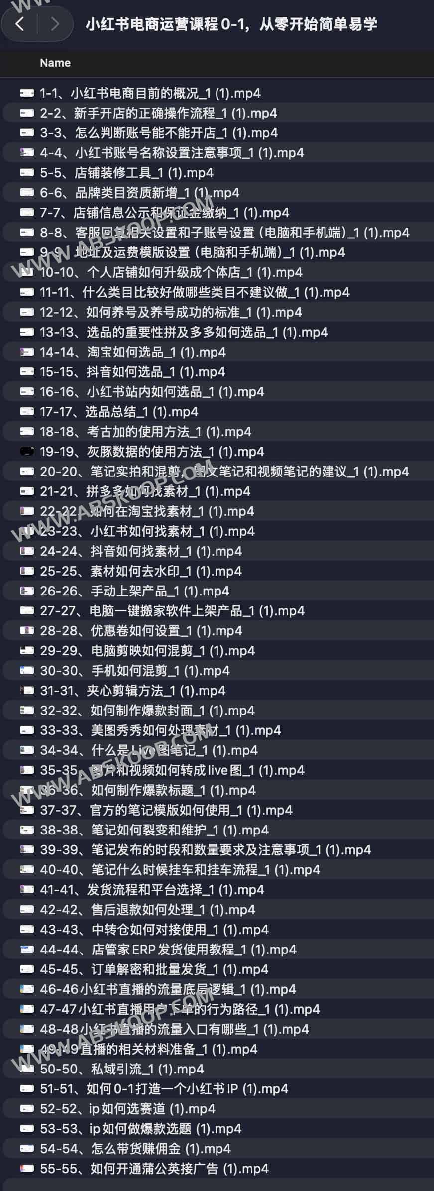 小红书电商运营课程0-1，从零开始简单易学