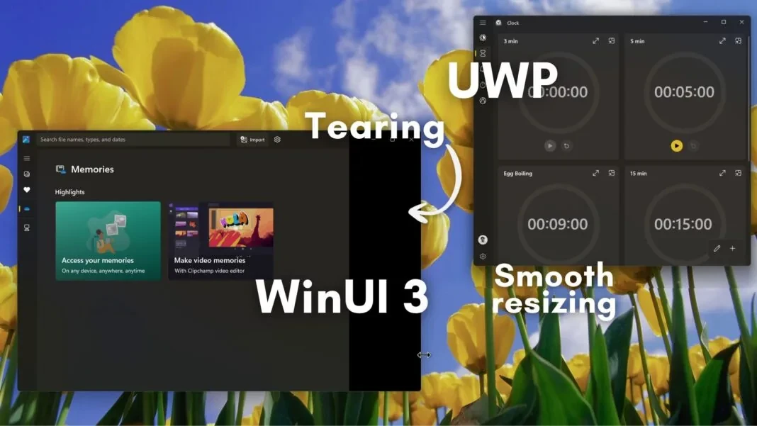告别黑边撕裂！微软确认 WinUI 3 将支持平滑缩放，今夏正式推送插图