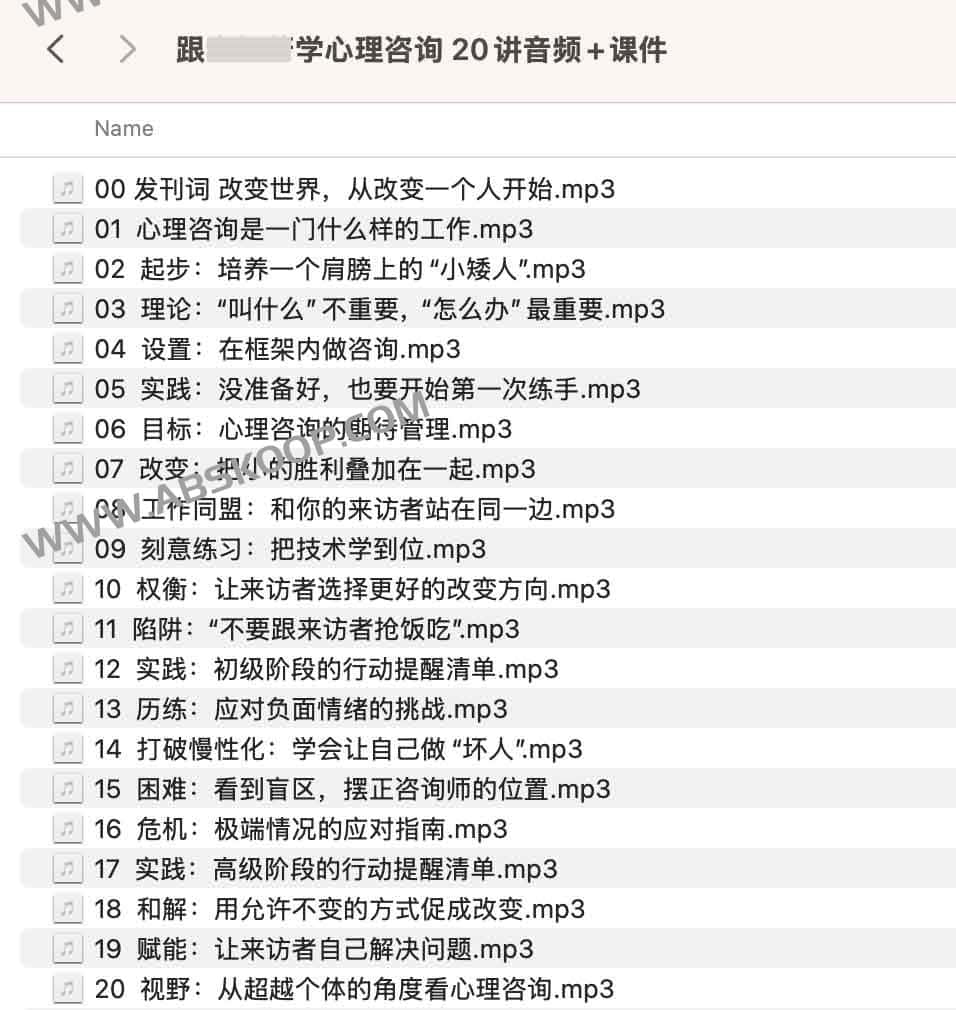 跟李松蔚学心理咨询 20讲音频+课件