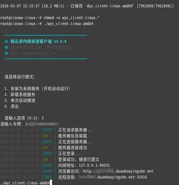 找到一个万能“隧道”，帮我打通了所有内网设备！插图15