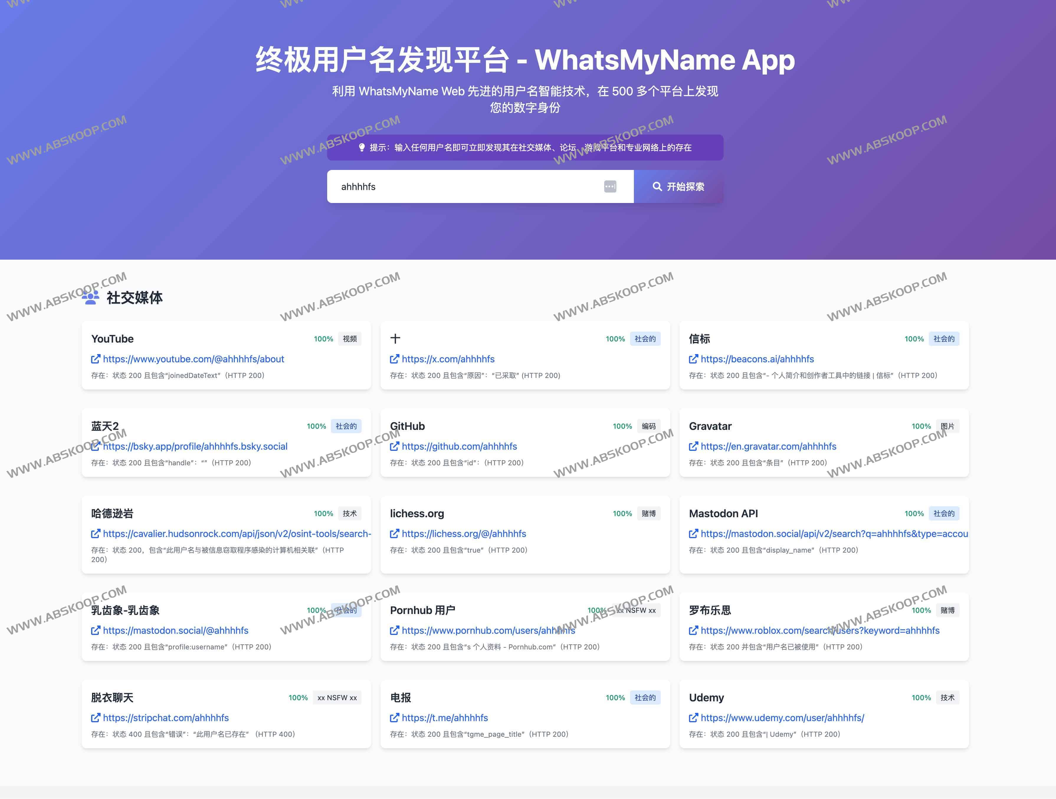 WhatsMyName App：一键探寻500+平台用户名精准检索工具 数字身份的免费利器