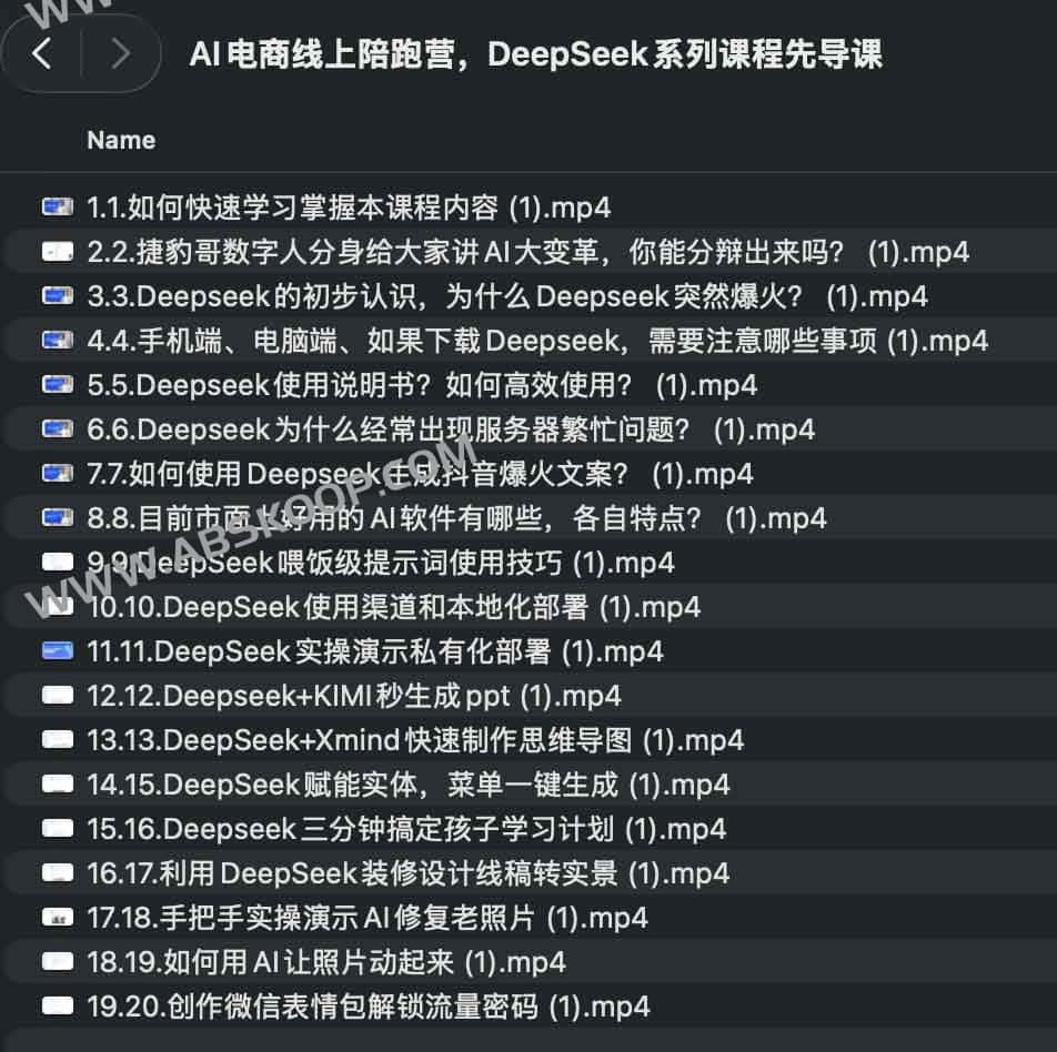 AI电商线上陪跑营，DeepSeek系列课程先导课