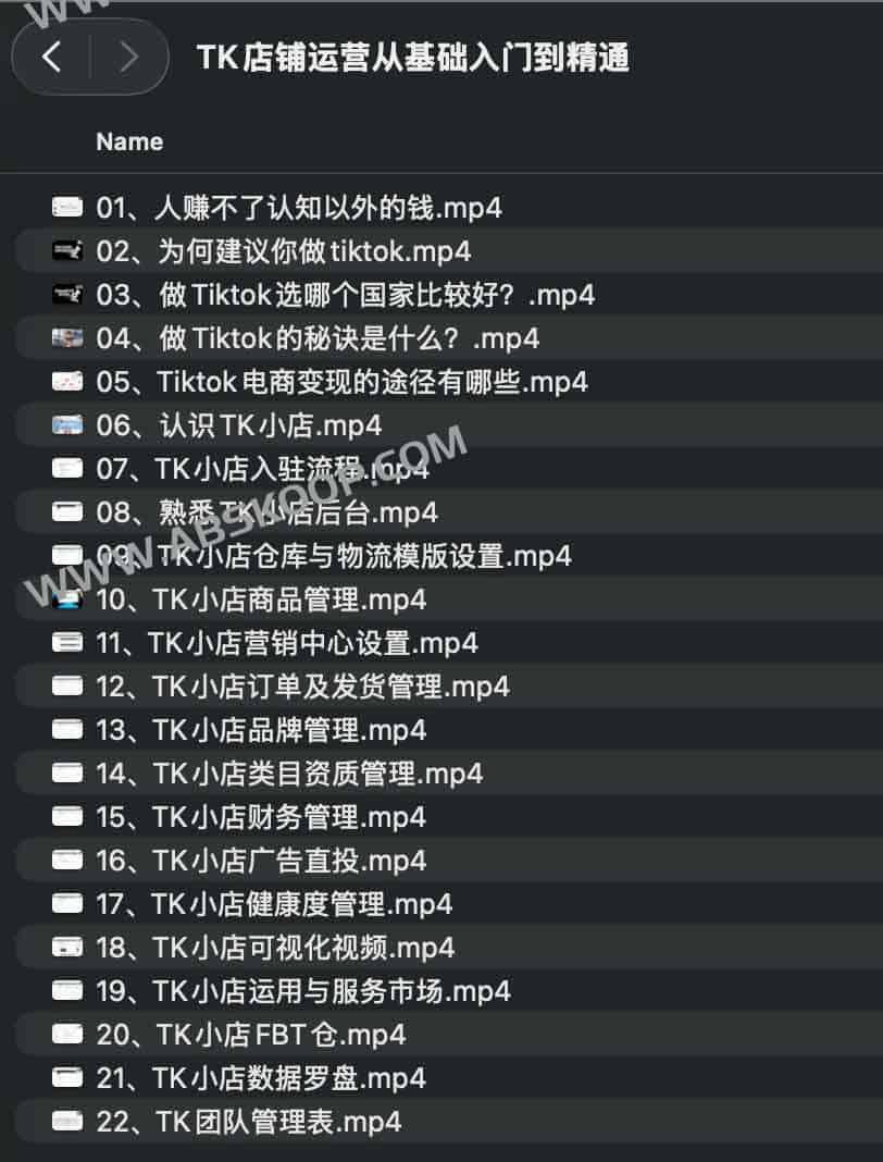 TikTok Shop（TK 小店）从入门到精通：入驻、选品、运营、投放与FBT全流程实战