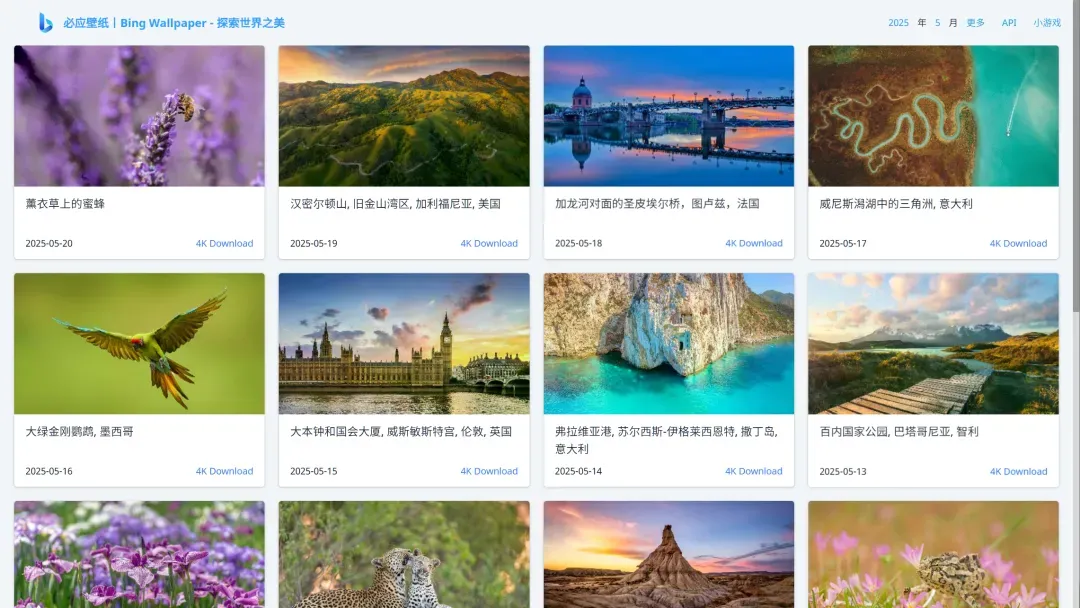 Windows用户狂喜!微软不敢说的神仙壁纸工具全网疯传!插图 Windows用户狂喜!微软不敢说的神仙壁纸工具全网疯传!插图