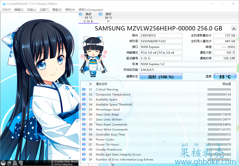 Crystal Disk Info v9.9.1 绿色版&美化版插图2