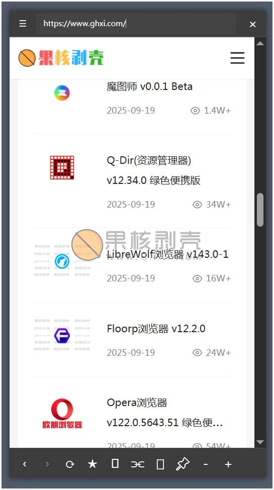 TrayChrome(托盘浏览器) v1.5 绿色版插图