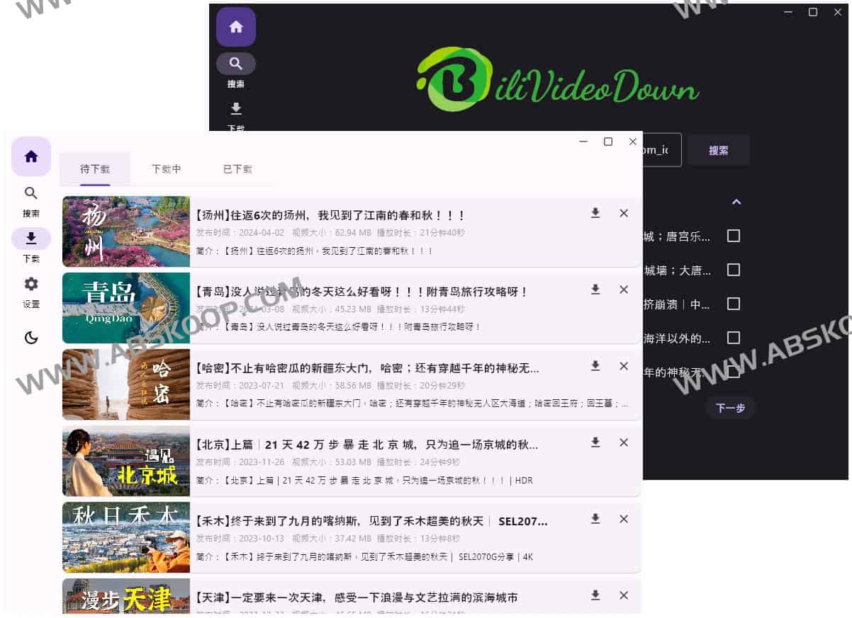BiliVideoDown-开源 B 站视频下载器
