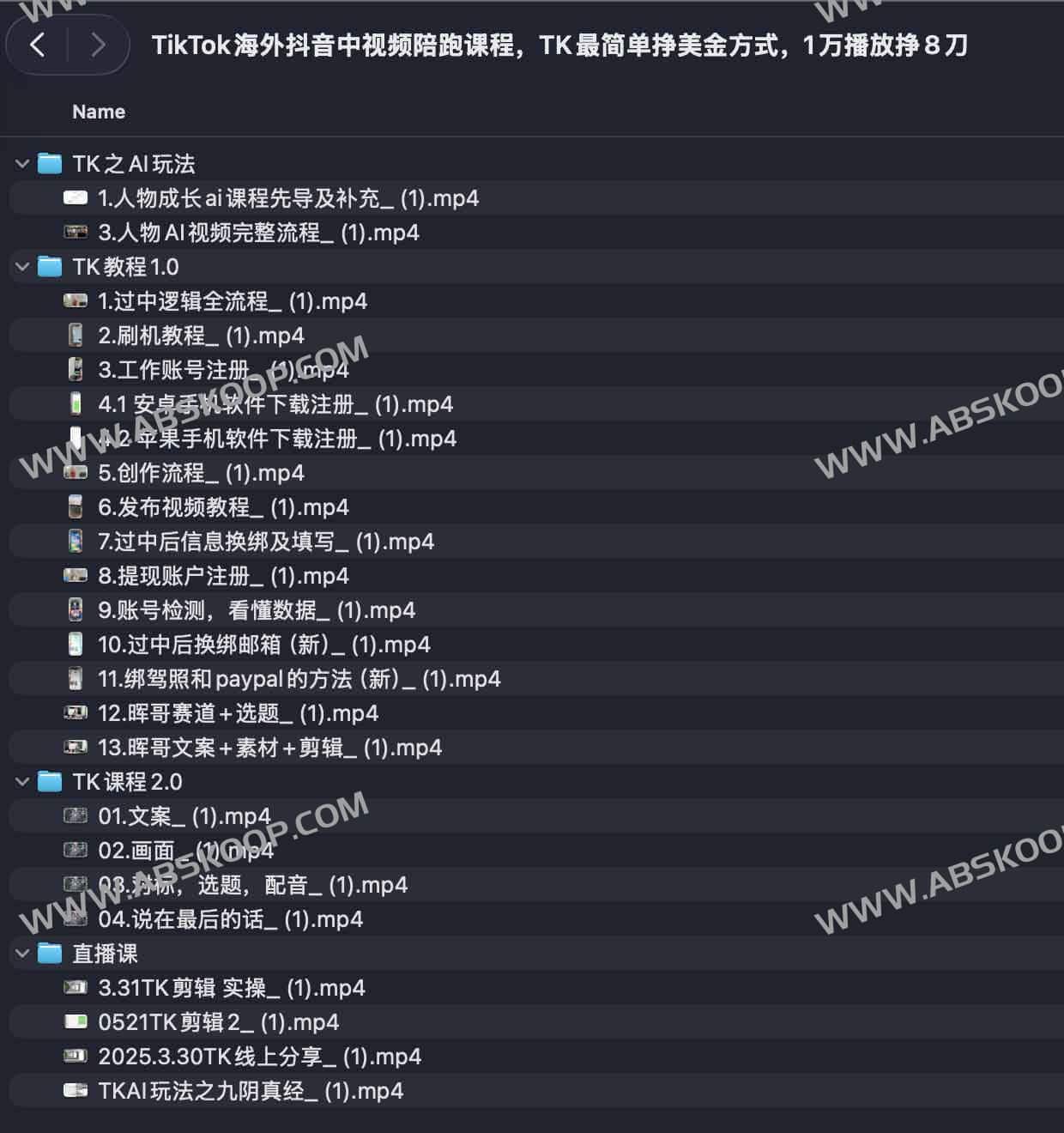 TikTok海外抖音中视频陪跑课程，TK最简单挣美金方式，1万播放挣8刀