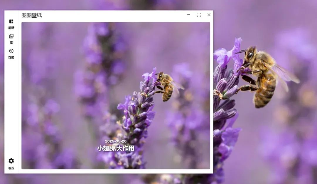 Windows用户狂喜!微软不敢说的神仙壁纸工具全网疯传!插图3 Windows用户狂喜!微软不敢说的神仙壁纸工具全网疯传!插图3